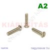 M6x25 sf.eh.csavar A2**