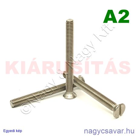 M6x50 sf.eh.csavar A2**