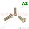 M8x25 sf.eh.csavar A2**