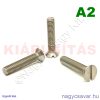 M8x40 sf.eh.csavar A2**