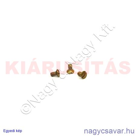 M3x6 lf.eh.sr.csavar**
