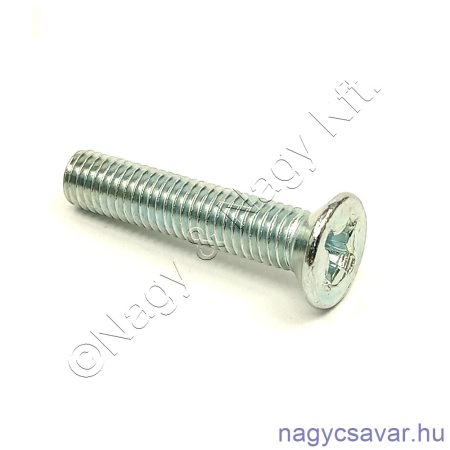 M3x10 sf.xh.csavar horg. 4.8