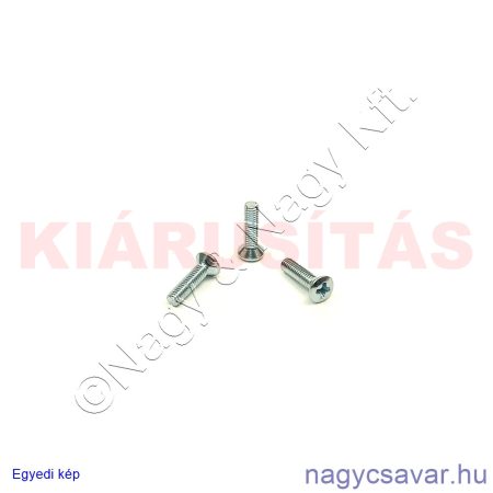 M2,5x10 lf.xh.csavar horg.4.8