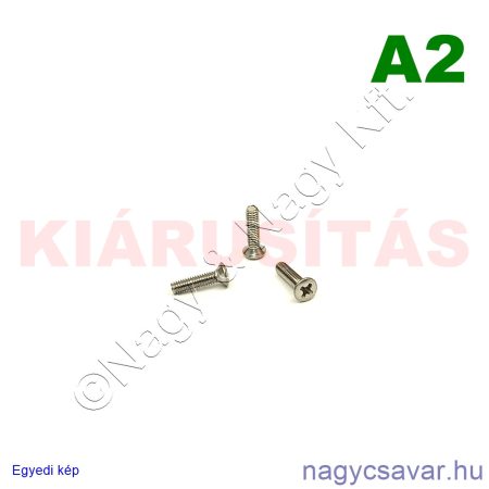 M2,5x10 lf.xh.csavar A2