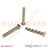M4x10 lf.xh.csavar A2