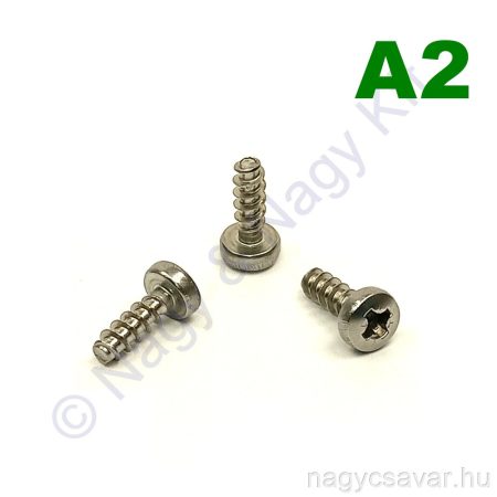 4x12 df.xh.csavar műanyagba A2 "F"