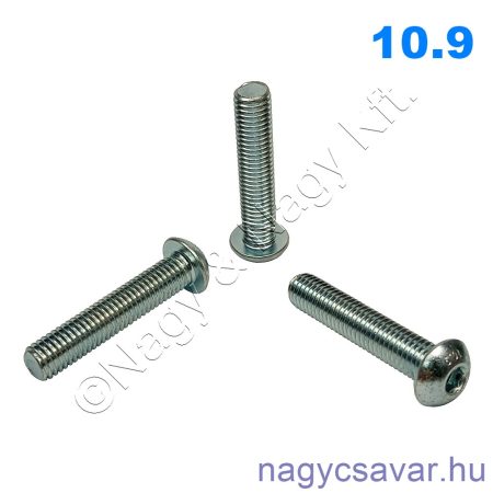 M6x30 df.bkny.csavar horg. 10.9