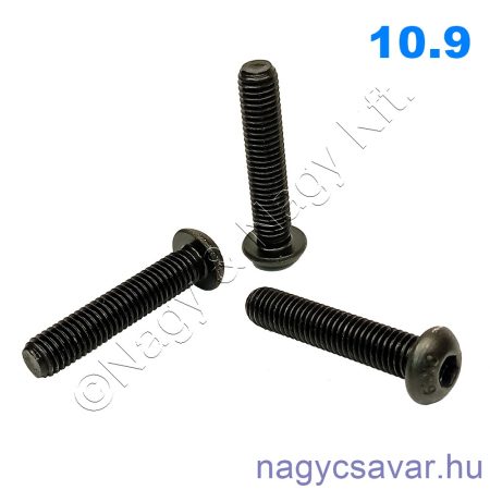 M6x40 df.bkny.csavar natúr 10.9