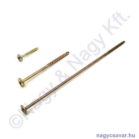 8x50 NP.flcs.torx csavar Tx40