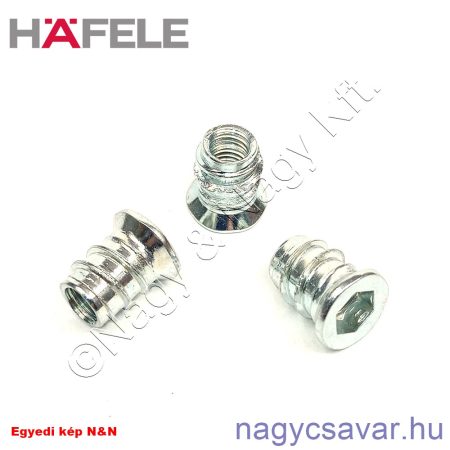 M6 tessauer anya sf.bkny horg. 13mm HAFELE