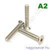 M4x10 sf.bkny.csavar A2