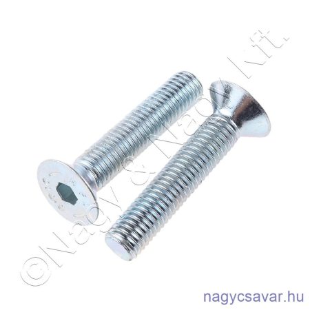 M4x25 sf.bkny.csavar horg. 8.8