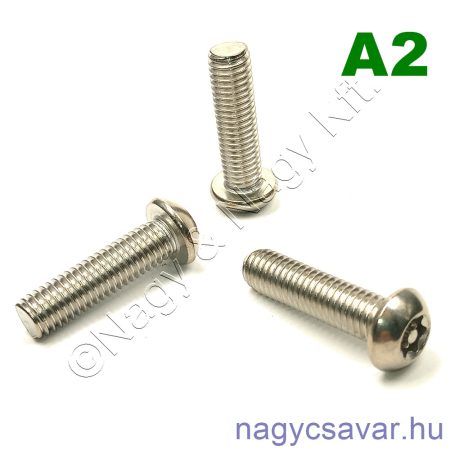 M5x10 df.tx.bizt.csavar (din7380) A2
