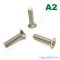 M4x10 sf.tx.bizt.csavar (din7991) A2