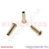 Csőszegecs 2,5x10mm sárgaréz + nikkel**