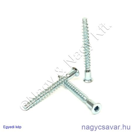 5x40 Konfirmátor csavar horg.