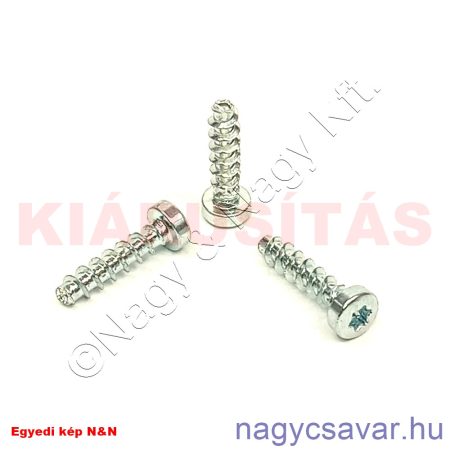 3x12 hf.tx. csavar műanyagba horg.